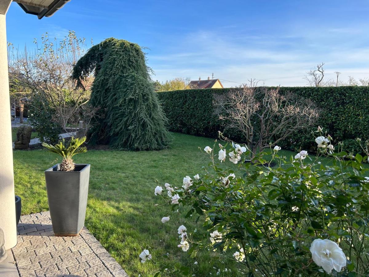 Grande Maison Au Calme Ensisheim Exterior foto